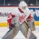 michael hutchinson, grand rapids griffins