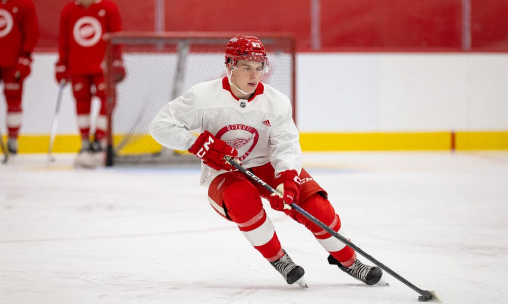 Kevin Bicker, Red Wings draftee