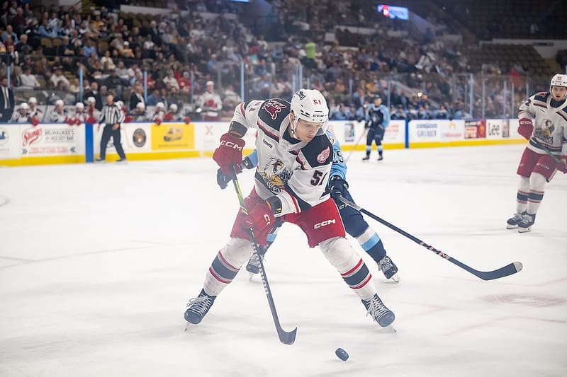 Radim Simek, Grand Rapids Griffins