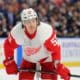 Tyler Bertuzzi, Detroit Red Wings