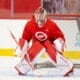 Sebastian Cossa, Red Wings prospect