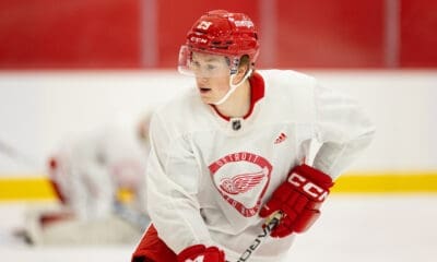 Nate Danielson,, Red Wings prospect