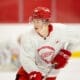 Nate Danielson,, Red Wings prospect