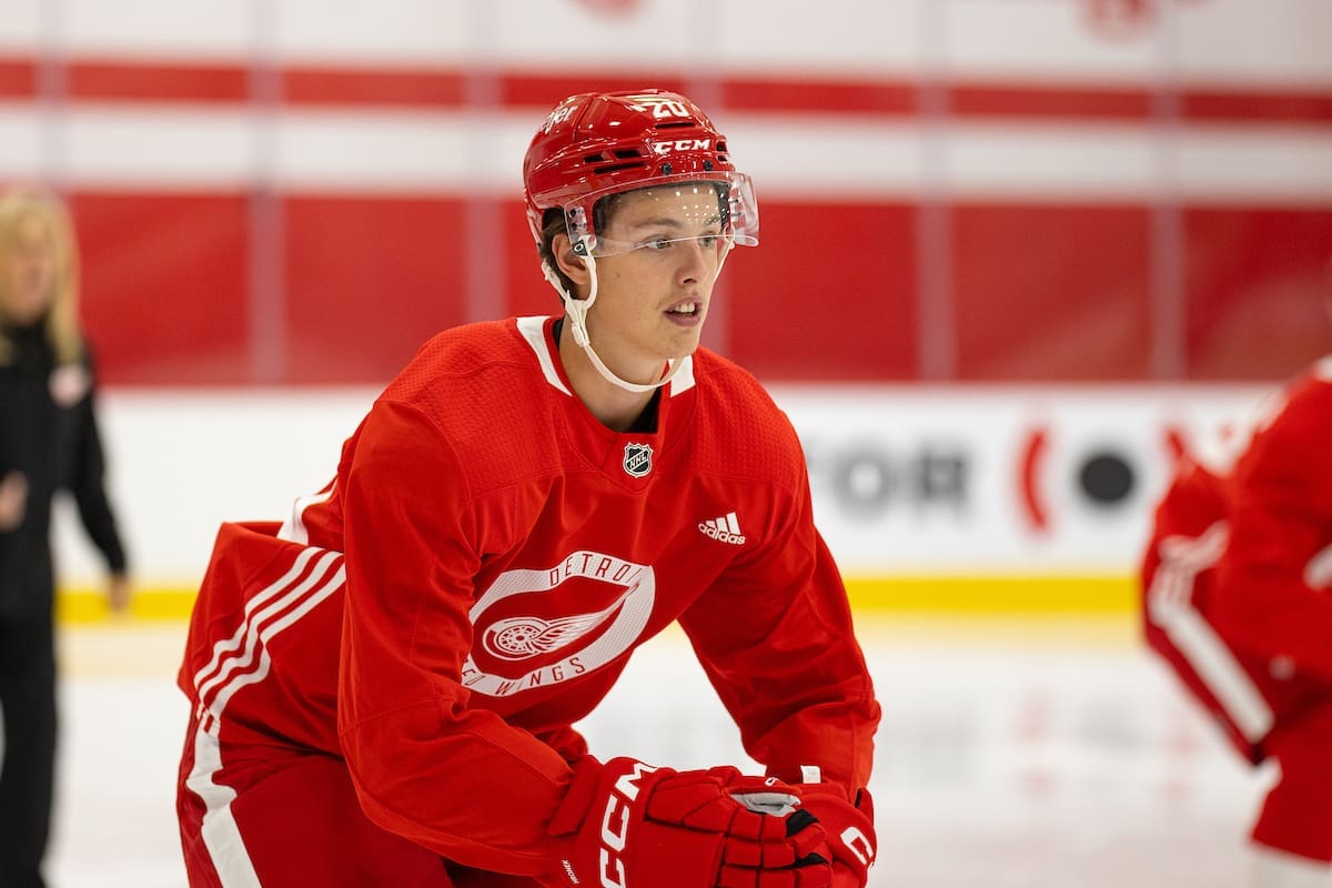 Anton Johnasson, Red Wings prospect