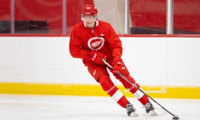 Larry Keenan, Red Wings prospect