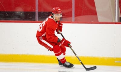 Andrew Gibson, Red Wings prospect