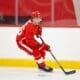 Andrew Gibson, Red Wings prospect