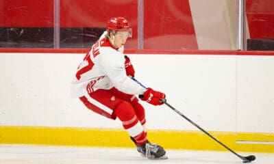 Jack Phelan, Red Wings prospect