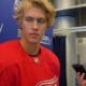 Simond edvinsson, detroit red wings