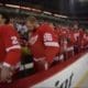 Red WIngs bench