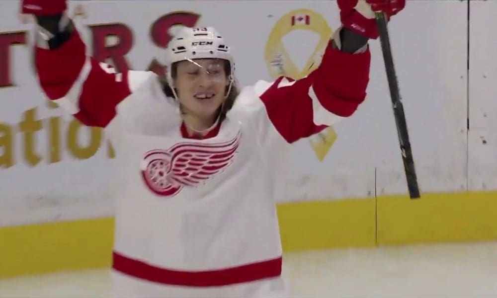 Tyler-Bertuzzi, Detroit Red Wings