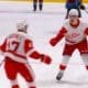 Filip-Hronek-Red-Wings-Detroit