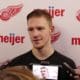 Evgeny-Svechnikov-Red-Wings-Winnipeg-Jets