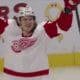 Tyler-Bertuzzi, Detroit Red Wings