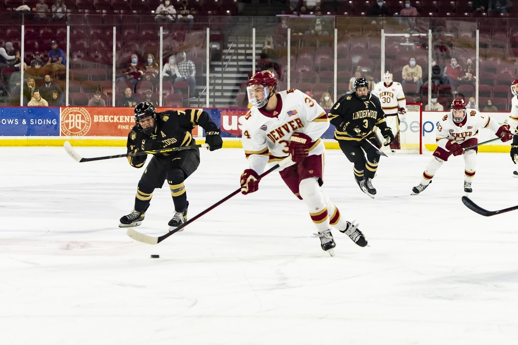 Carter Mazur, Detroit Red Wings prospect