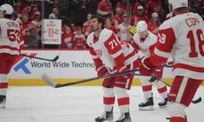 Dylan Larkin, Red Wings