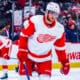 Andrew Copp, Red Wings