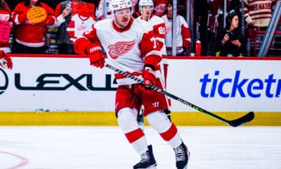 Adam Erne, Red Wings