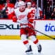 Adam Erne, Red Wings