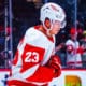 Lucas Raymond, Red Wings