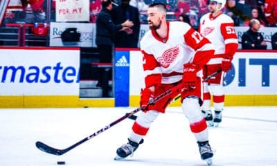 Filip Hronek, Red Wings