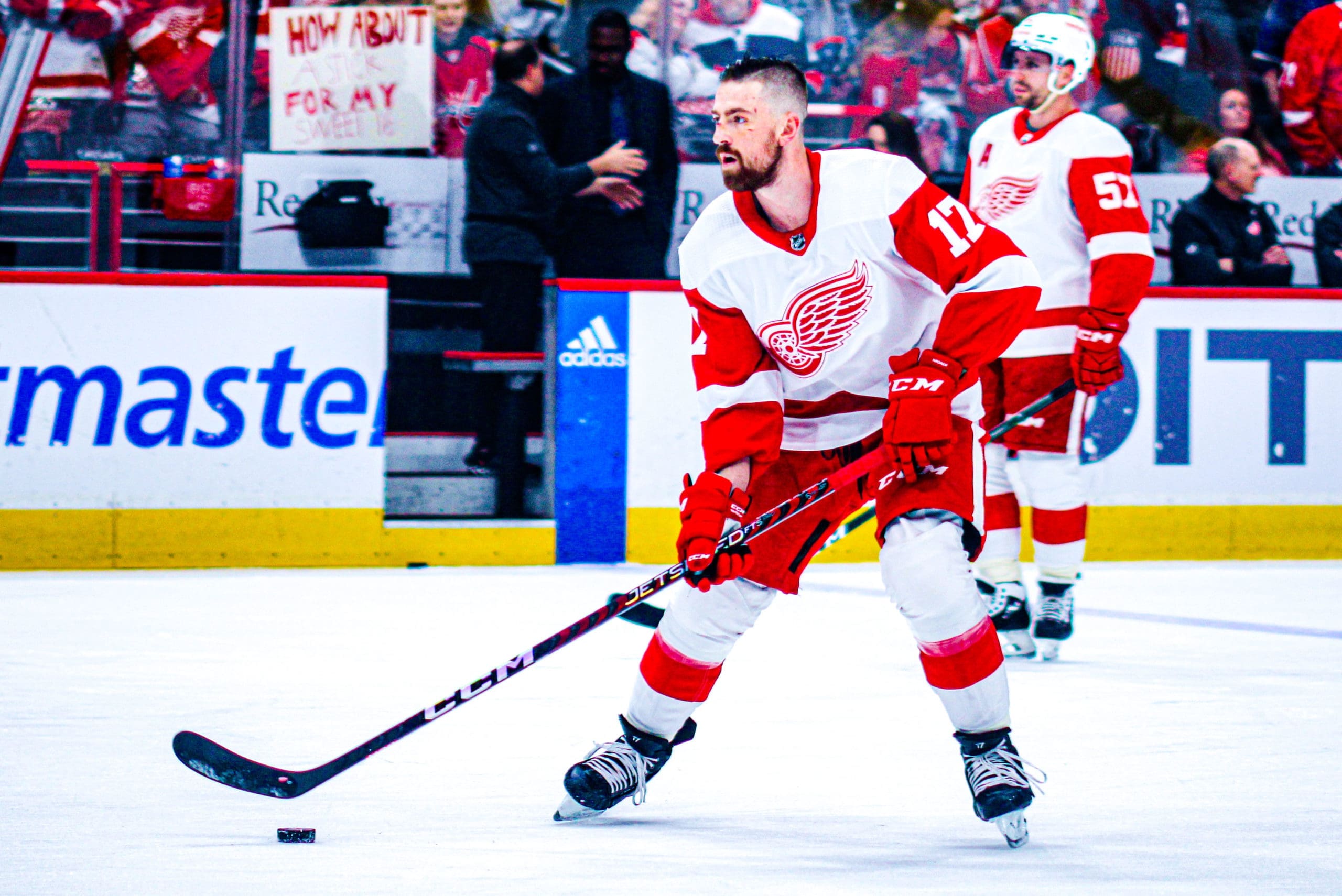 Filip Hronek, Red Wings