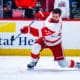 Dylan Larkin, Red Wings