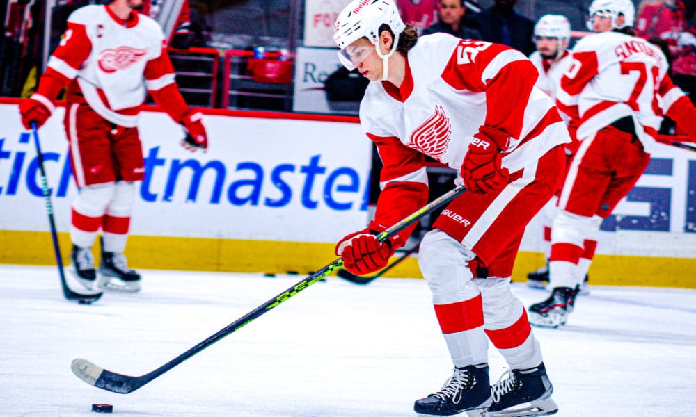 Moritz Seider, Red Wings