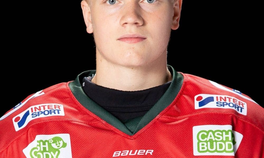 Theodor Niederbach, Detroit Red Wings prospect