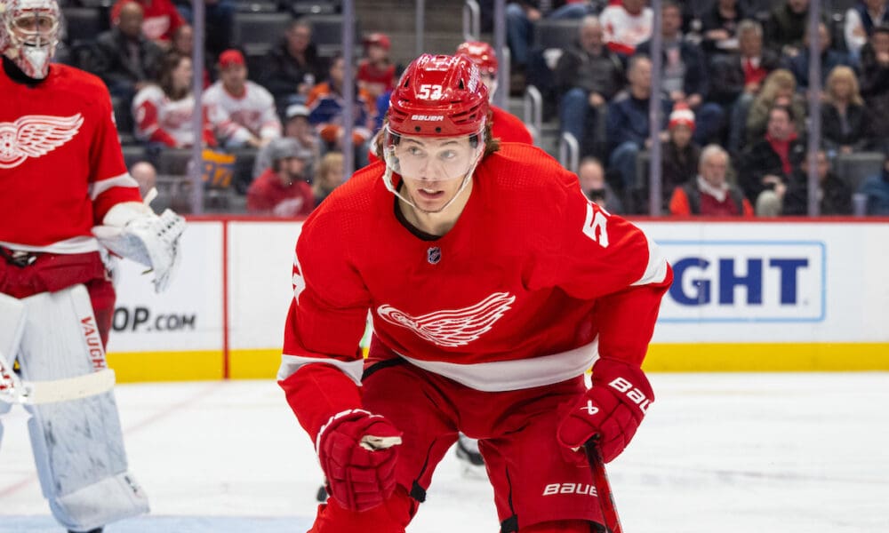 Moritz Seider, Red Wings