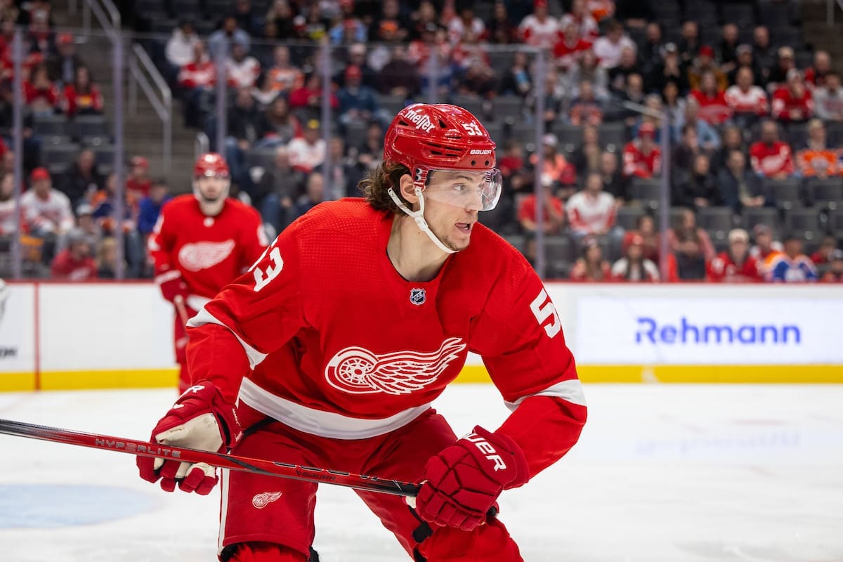 Moritz Seider, Red Wings