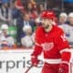 Robby Fabbri, red wings