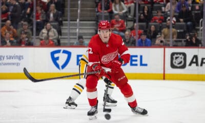 Matt Luff, Red WIngs