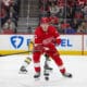 Matt Luff, Red WIngs