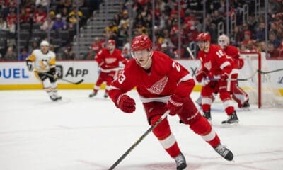 Lucas Raymond, Red Wings