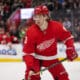 Moritz Seider, Red Wings