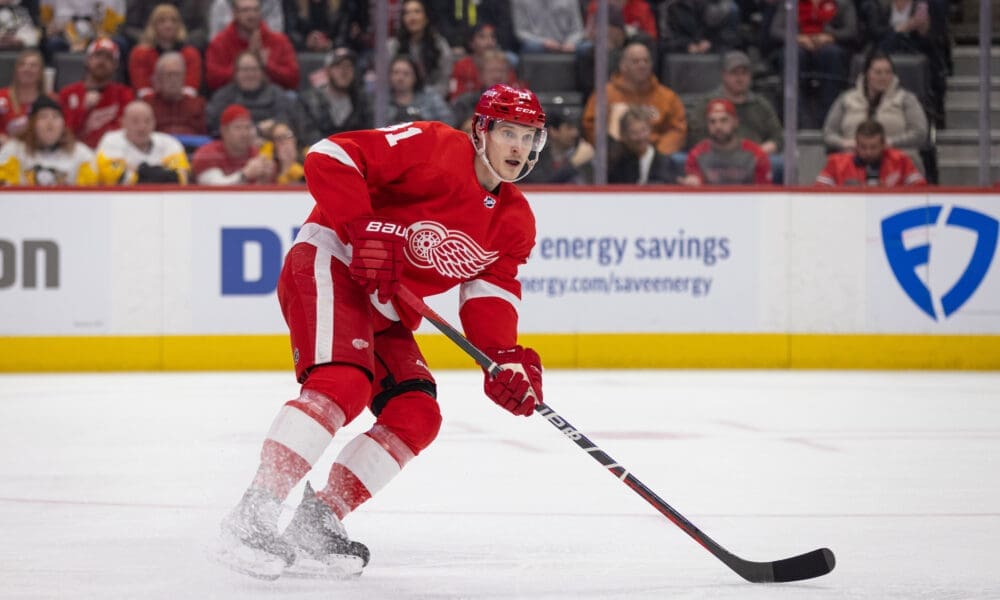 Dominik Kubalik, Red Wings