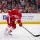 Dominik Kubalik, Red Wings