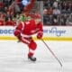 Gustav Lindstrom, Red Wings