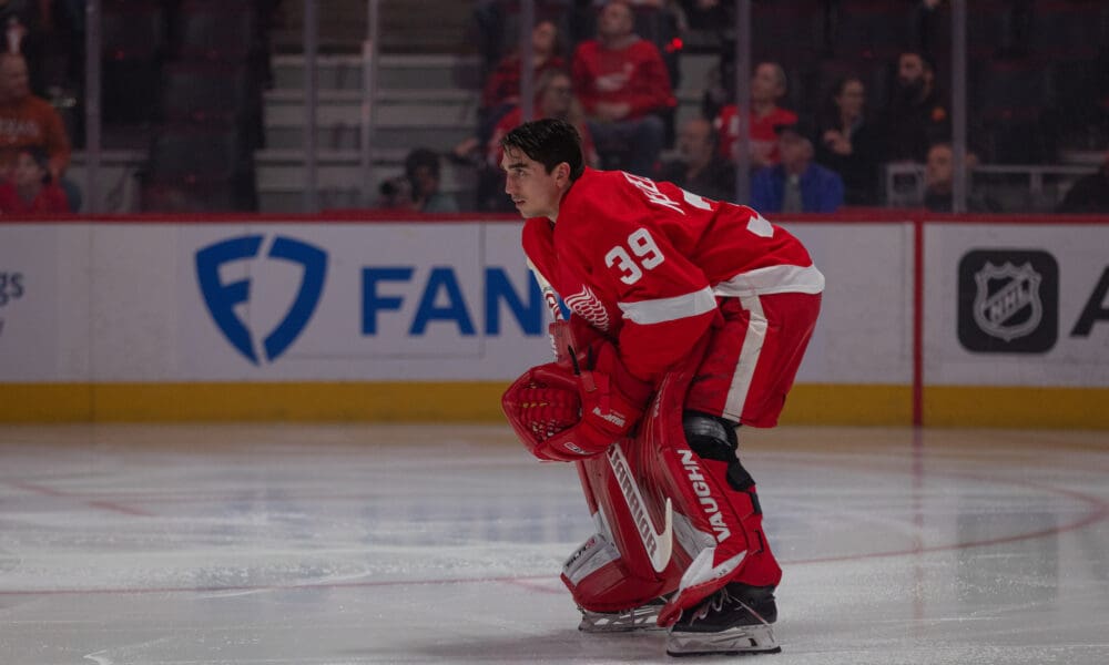 Alex Nedeljkovic, Red Wings