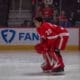 Alex Nedeljkovic, Red Wings