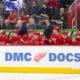 Red Wings bench