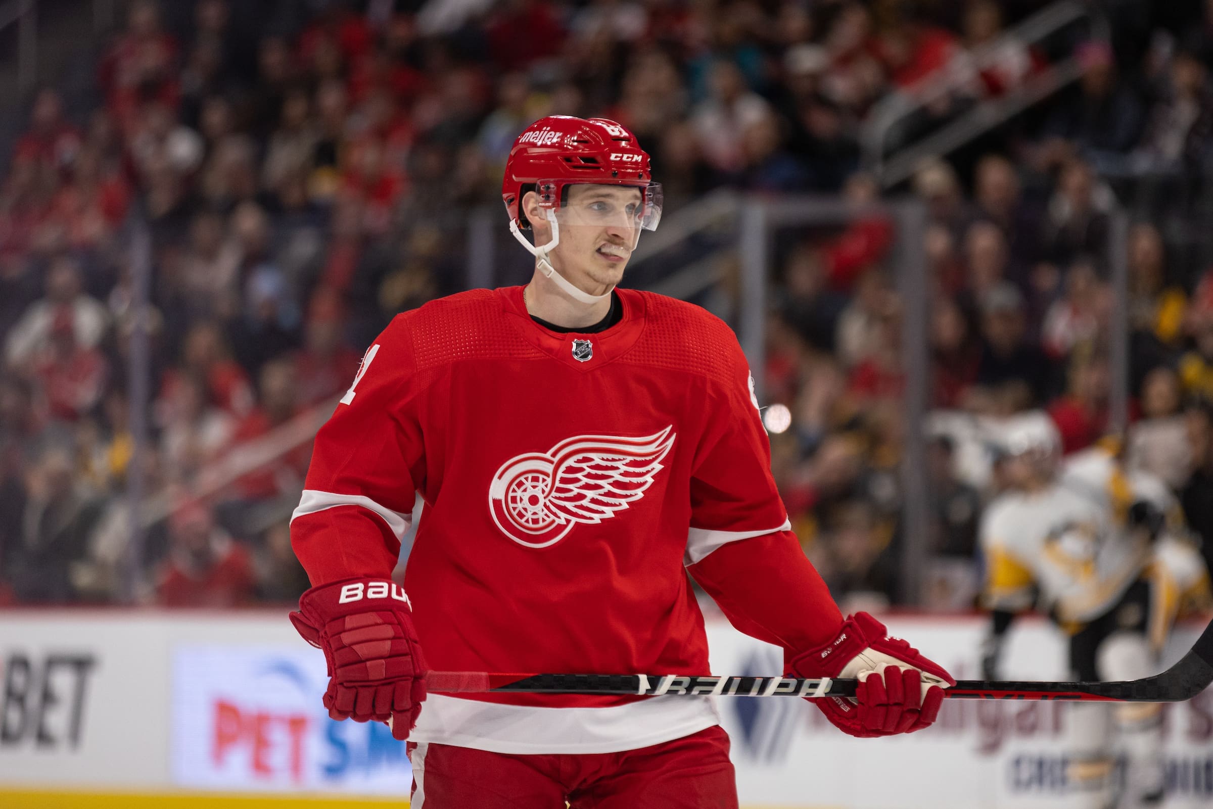 Dominik Kubalik, Red Wings