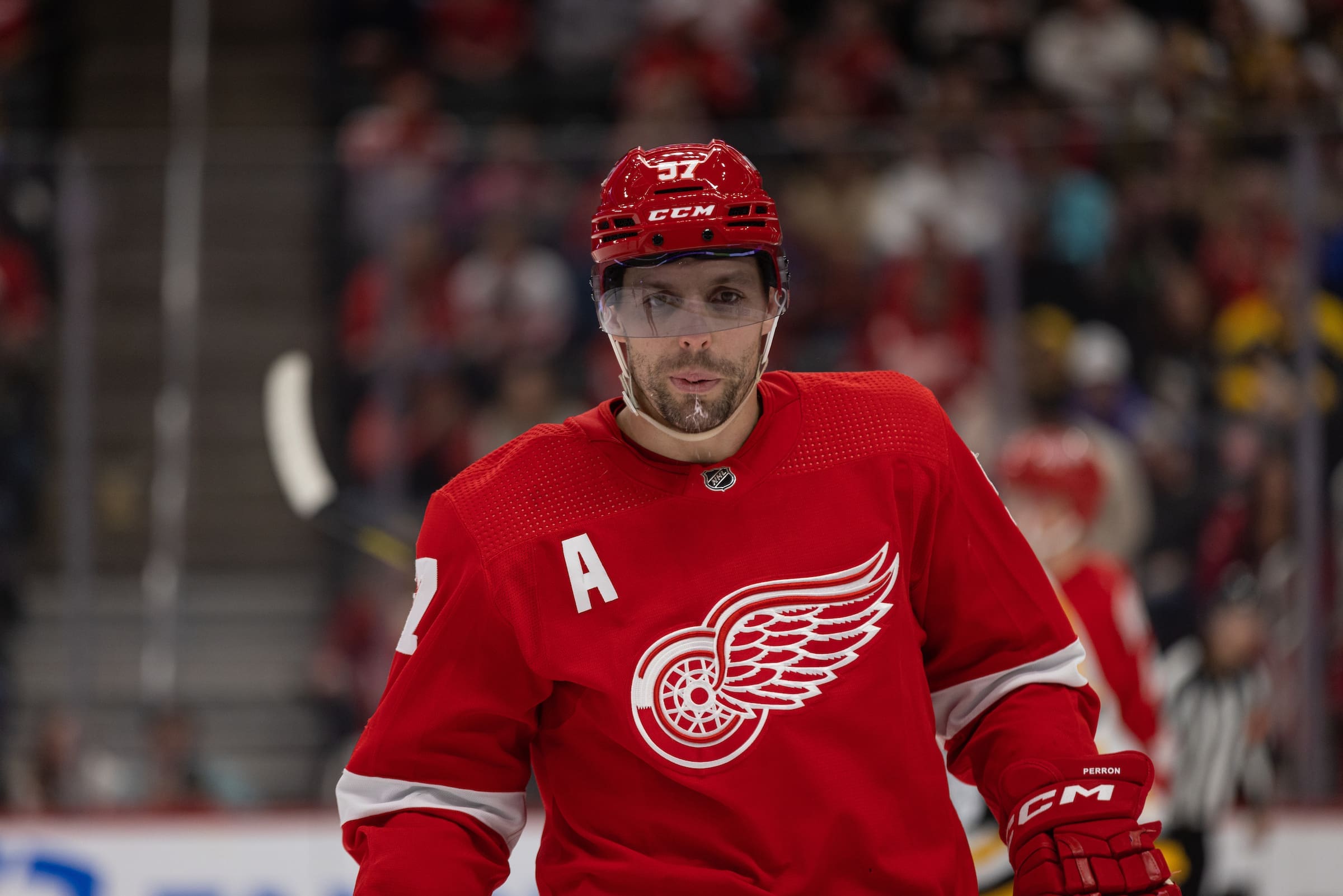 David Perron, Red Wings