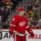 Lucas Raymond, Red Wings